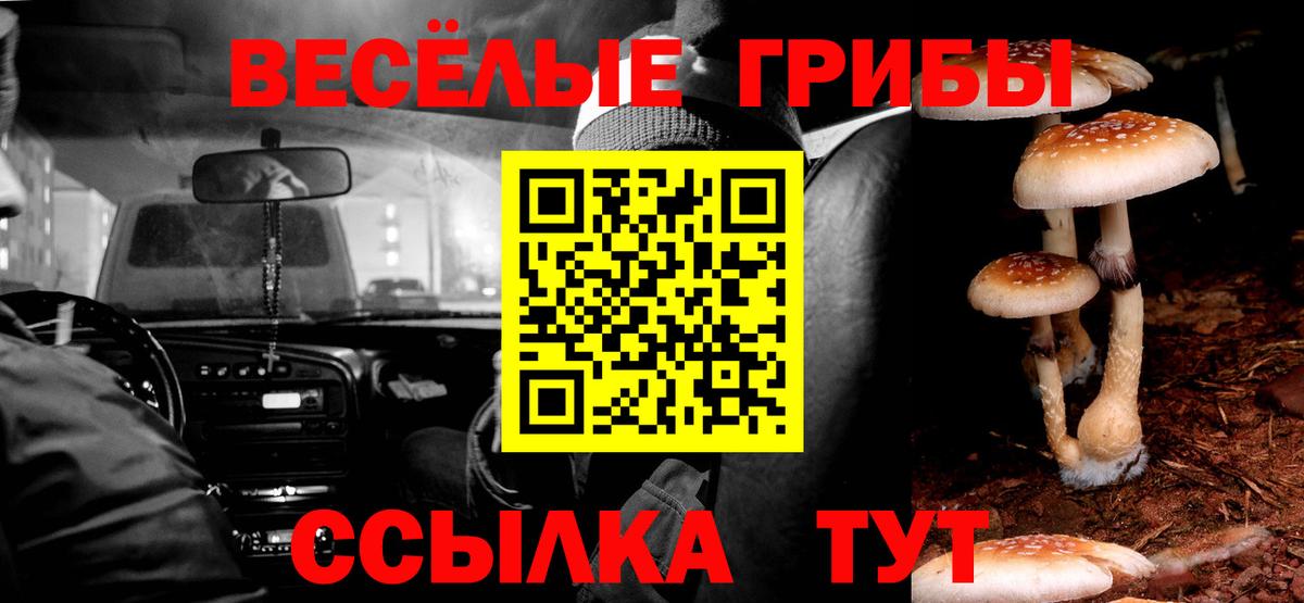 Галлюциногенные грибы GOLDEN TEACHER  Вход с VPN  Кириши 